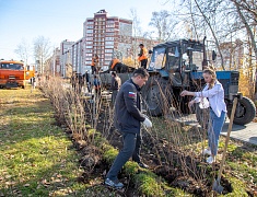 К общегородскому субботнику присоединились работники администрации Благовещенска