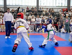 Почти три сотни спортсменов собрал турнир по тхэквондо в Благовещенске