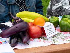 Мэр города Олег Имамеев поприветствовал старшее поколение на празднике в Горпарке
