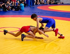 Первенство по вольной борьбе, посвященное памяти бойца СВО Владислава Мазуркова