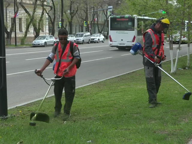 Жители Благовещенска почувствуют запах свежескошенной травы: в областной столице стартовал сезон покоса