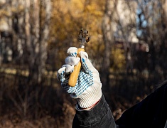 В Благовещенске в рамках «Город берегу» прошел субботник «Чистые игры»