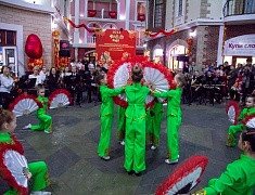 В Благовещенске встретили китайский Новый год