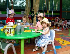 В Благовещенске к озеленению и благоустройству города присоединилось 9 корпусов прогимназии