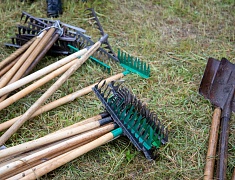 Аллею из сирени в 1,5 километра высадили в отдаленном районе Благовещенска