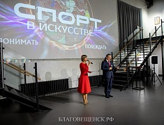 В Благовещенске подвели итоги проекта «Спорт в искусстве»