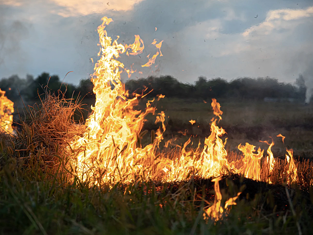 Благовещенцев призывают соблюдать правила пожарной безопасности
