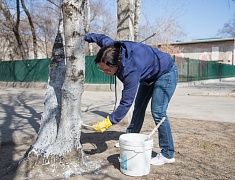 Общегородской субботник "Город берегу"