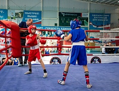 Чемпионат и первенство Амурской области по боксу стартовали в Благовещенске