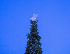 Мэр Олег Имамеев провёл выездное совещание по новогоднему оформлению города