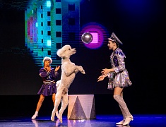 В областном центре прошла ежегодная акция «Губернаторский портфель»