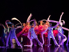 В Благовещенске состоялось открытие Российско-китайского молодежного библиотечного конвента