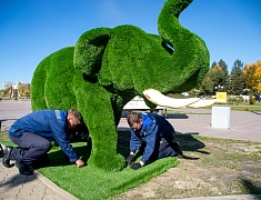 В Благовещенске появился новый арт-объект