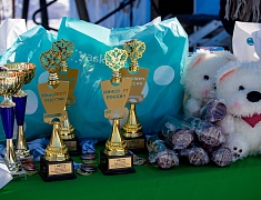 В Благовещенске стартовала «Лыжня России 2025»