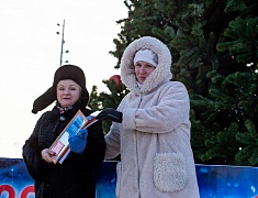 В Благовещенске подвели итоги конкурса снегозавров