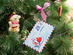 Сотрудники администрации Благовещенска станут новогодними волшебниками