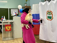 Выборы Президента России в Благовещенске