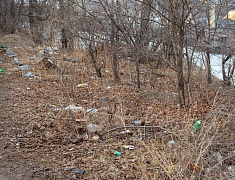 «Город берегу»: жители Благовещенска массово вышли на субботник