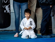 Благовещенские каратисты сразились в честь 100-летия Масутацу Ояма