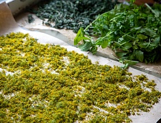 Мэр Олег Имамеев посетил добровольческий пункт помощи бойцам СВО