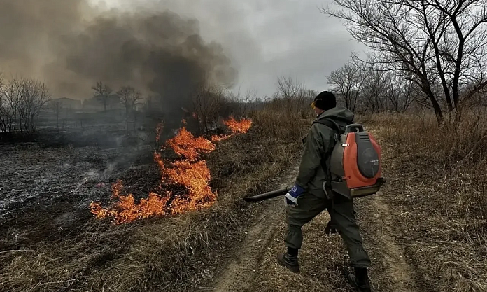 21 пал ликвидировали в Благовещенске с начала особого противопожарного режима