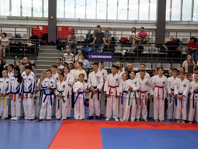 Почти три сотни спортсменов собрал турнир по тхэквондо в Благовещенске, посвященный памяти Героя России