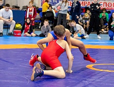 Столица Приамурья стала площадкой для соревнования по вольной борьбе