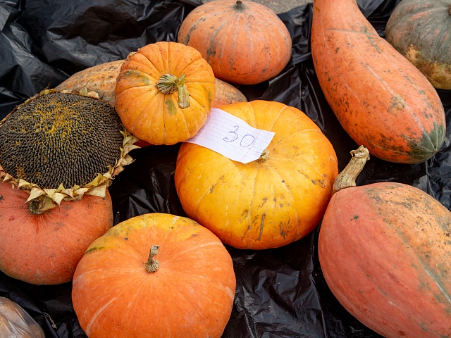 Благовещенцам рассказали, куда обращаться по поводу несанкционированной торговли