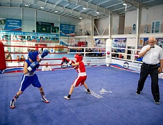 Чемпионат и первенство Амурской области по боксу стартовали в Благовещенске