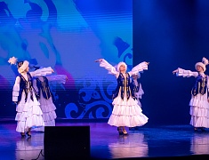 В Благовещенске День народного единства отметили большим концертом 