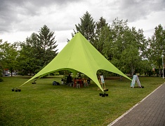 Фестиваль цветов «Город в цвете»
