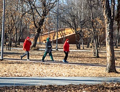 Мэр Благовещенска Олег Имамеев оценил готовность парков к открытию сезона