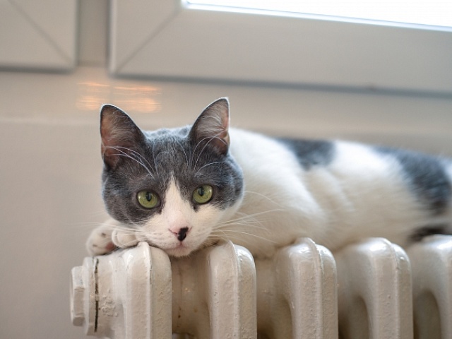 Стала известна очередность подключения к теплу среди МКД в Благовещенске