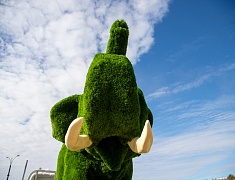 В Благовещенске появился новый арт-объект