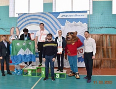 Фестиваль трудовых коллективов ГТО