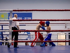 Фестиваль единоборств «Знамя Победы»