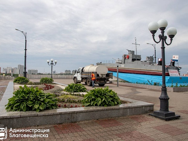 От удобрения до цветения: подводим итоги озеленительной кампании в Благовещенске за прошедший сезон