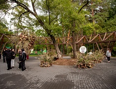  В Первомайском парке назвали лучшие работы в стиле лэнд-арт