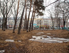 Мэр Благовещенска Олег Имамеев провел выездное совещание по благоустройству сквера водников
