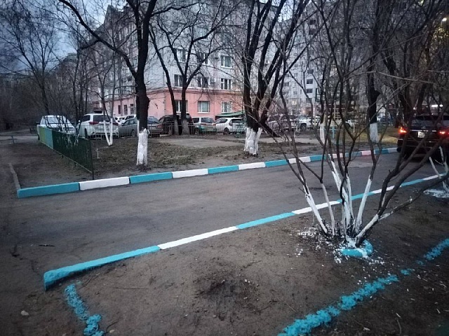 Военная традиция или вред для экологии: почему жителей областного центра просят не белить стволы деревьев?