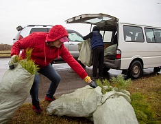 Аллею из сирени в 1,5 километра высадили в отдаленном районе Благовещенска