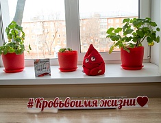 Сотрудники администрации Благовещенска стали донорами