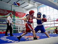 Первенство памяти Семёна Лисунова собрало боксёров со всего Дальнего Востока
