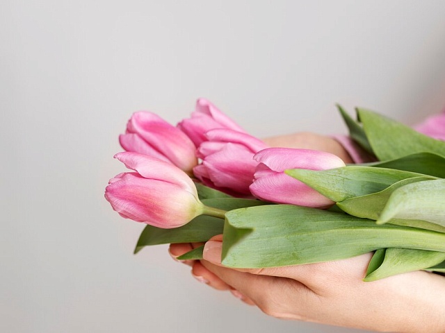 Куда сообщать о нелегальной торговле цветами? Подробности ниже!