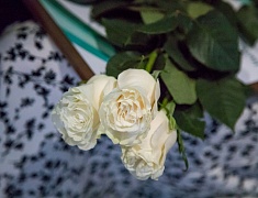 Молодежь Благовещенска наградили премией мэра