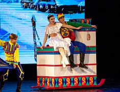 Ведущие коллективы Амурской области провели благотворительный концерт