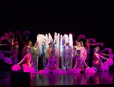 В Благовещенске состоялось открытие Российско-китайского молодежного библиотечного конвента