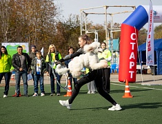 Сто юных благовещенцев с особенностями здоровья пробежали марафон