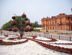 «Гостеприимный город для всех» стартовал в Благовещенске 