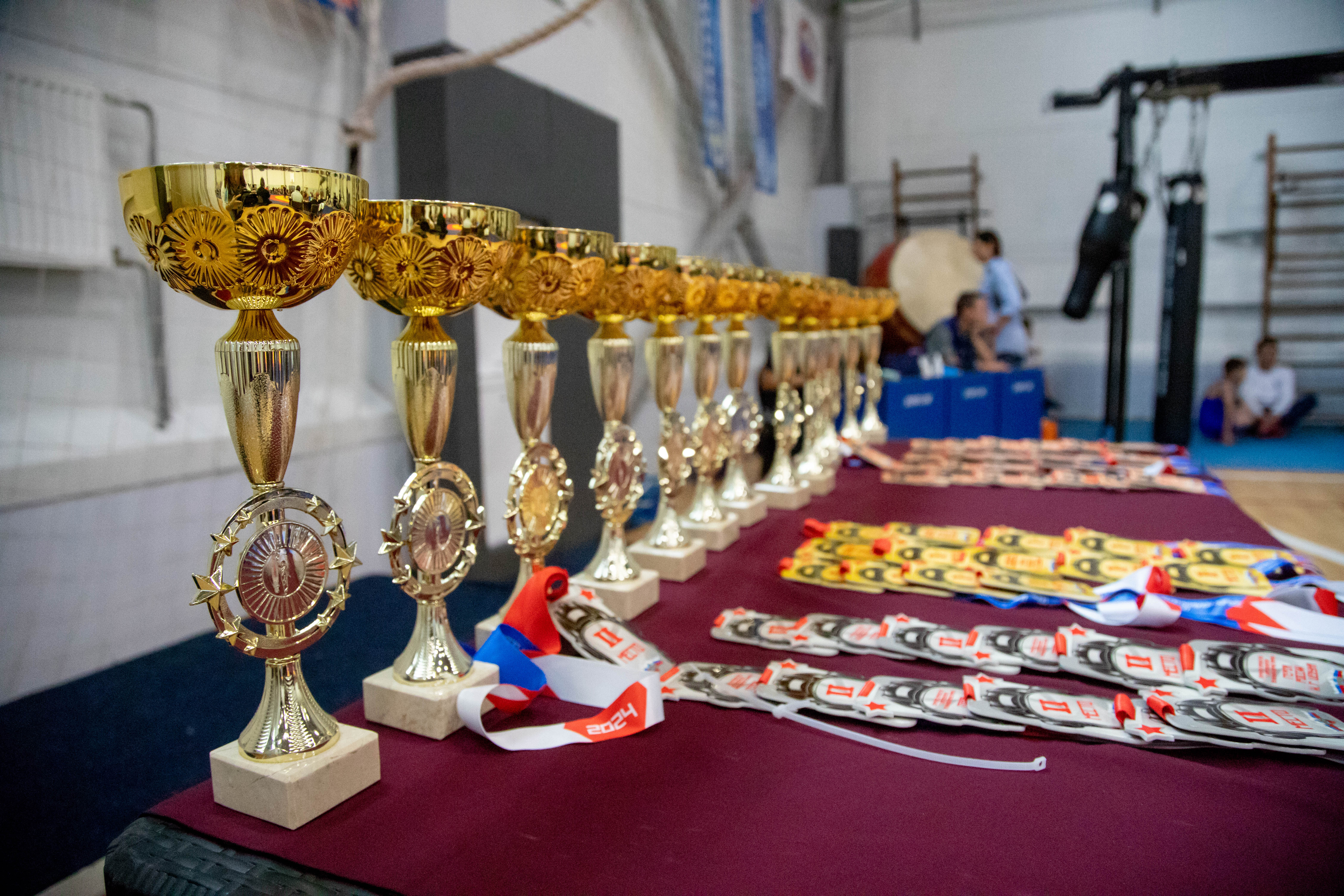 Памятный турнир по вольной борьбе в Благовещенске объединил спортсменов из семи регионов Дальнего Востока